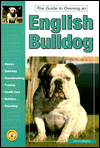 The Guide to Owning an English Bulldog