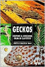 Geckos