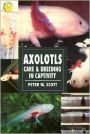 Axolotls