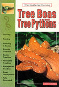 Guide to Owning Tree Boas and Tree Pythons