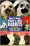Guide to Owning Dwarf Rabbits