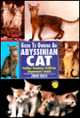 Guide to Owning an Abyssinian Cat