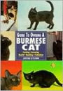 Guide to Owning a Burmese