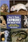 Guide to Owning Chipmunks and Similar Species