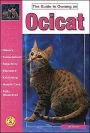 The Guide to Owning an Ocicat