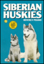 Siberian Huskies