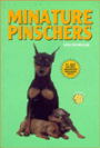 Miniature Pinschers