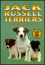 Jack Russell Terriers