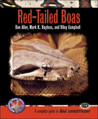 Red-Tailed Boas: A Complete Guide to Boa Constrictor