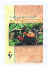 Creating a Bird-Friendly Backyard Habitat