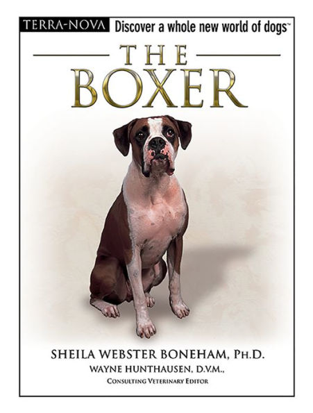 The Boxer