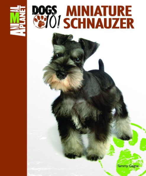 Miniature Schnauzer