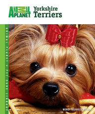Title: Yorkshire Terriers, Author: Wendy Bedwell-Wilson