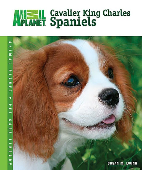 Cavalier King Charles Spaniels