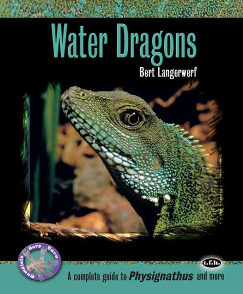 Water Dragons