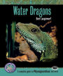 Water Dragons