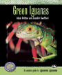 Green Iguanas