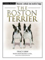 The Boston Terrier