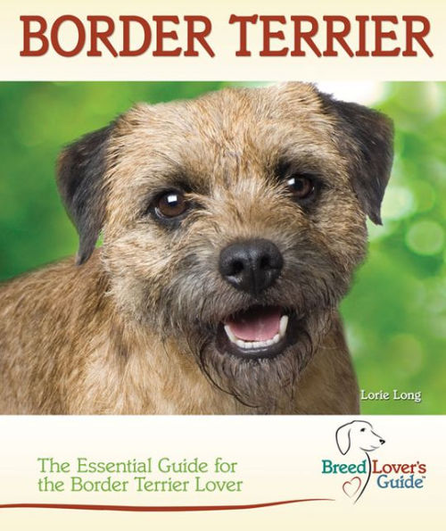 Border Terrier: The Essential Guide for the Border Terrier Lover