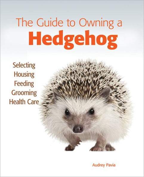 The Guide to Owning a Hedgehog