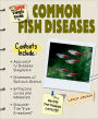 Super Simple Guide to Common Fish Diseases