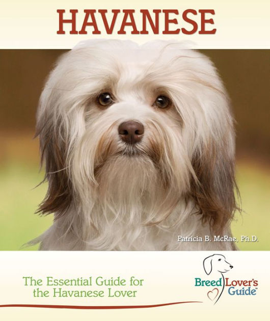 Havanese The Essential Guide for the Havanese Lover by Patricia B