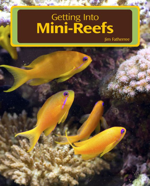 Getting Into Mini Reefs