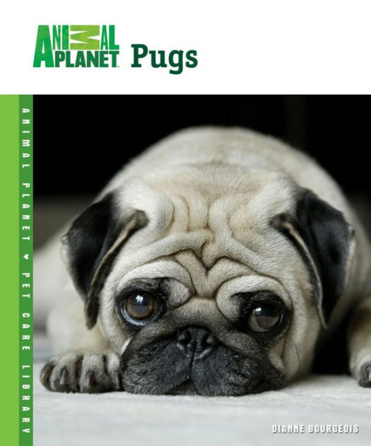 Pugs by Dianne Bourgeois eBook Barnes Noble®