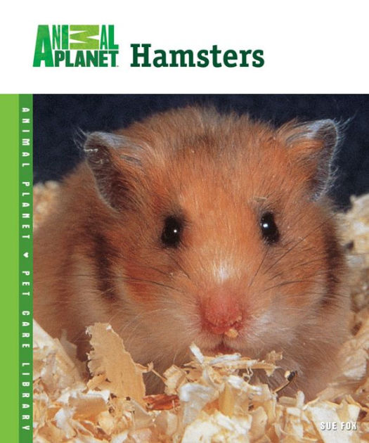 Hamsters by Sue Fox | eBook | Barnes & Noble®