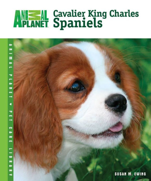 Cavalier King Charles Spaniels by Susan M. Ewing, Hardcover Barnes