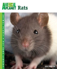 Title: Rats, Author: Julie Mancini