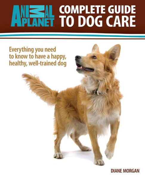 Complete Guide to Dog Care