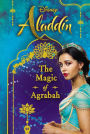Disney Aladdin: The Magic of Agrabah