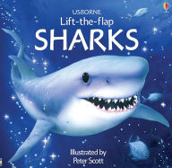Sharks (Usborne Lift-the-Flap Series)