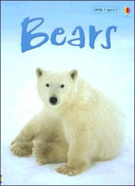 Bears Level 1: Internet Referenced