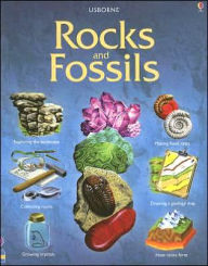 Rocks and Fossils