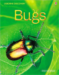 Bugs (Usborne Discovery Series)