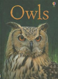 Owls IR