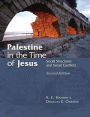 Palestine in the Time of Jesus: Social Structures and Social Conflicts / Edition 2