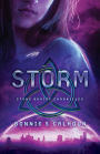 Storm (Stone Braide Chronicles Series #3)