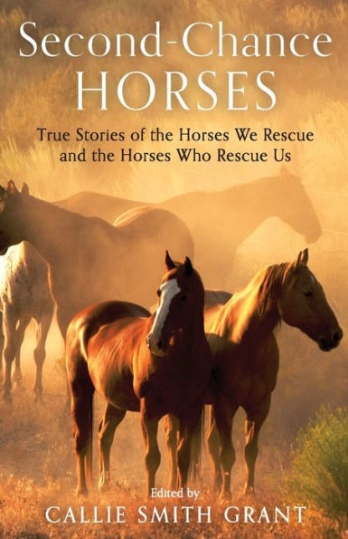 Second-Chance Horses: True Stories of the Horses We Rescue and the Horses Who Rescue Us