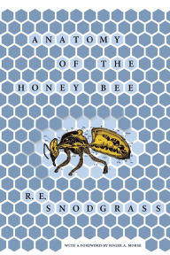 Title: Anatomy of the Honey Bee, Author: R. E. Snodgrass