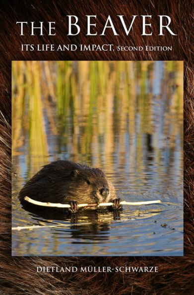 The Beaver: Natural History of a Wetlands Engineer