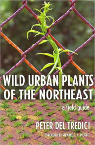 Wild Urban Plants of the Northeast: A Field Guide