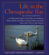 Life in the Chesapeake Bay