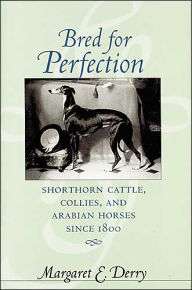 Title: Bred for Perfection: Shorthorn Cattle, Collies, and Arabian Horses since 1800, Author: Margaret E. Derry