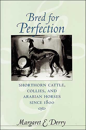 Bred for Perfection: Shorthorn Cattle, Collies, and Arabian Horses since 1800