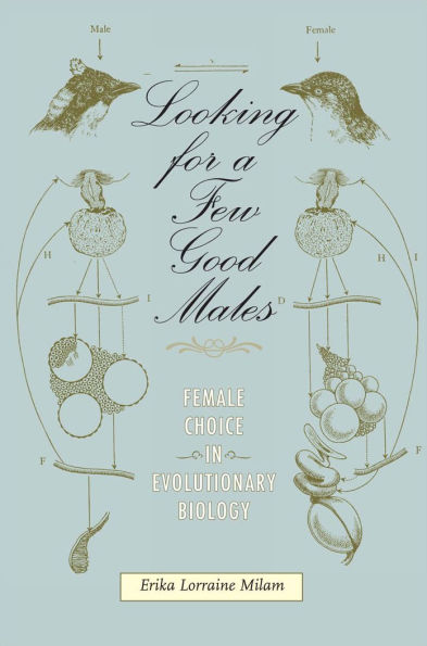 Looking for a Few Good Males: Female Choice in Evolutionary Biology