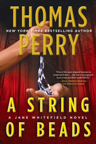 A String of Beads (Jane Whitefield Series #8)