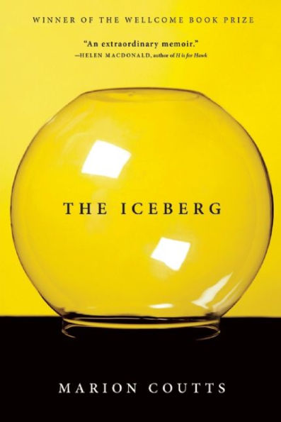 The Iceberg